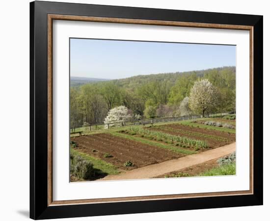 Thomas Jefferson's Monticello, Virginia, United States of America, North America-Snell Michael-Framed Photographic Print