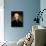 Thomas Jefferson-Rembrandt Peale-Giclee Print displayed on a wall