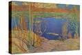 Stretched Canvas Print