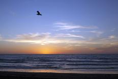 Sunset over La Jolla Coast, California, United States of America, North America-Thomas L-Photographic Print