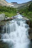 Water Rushing Down Alpine Stream, Logan Pass, Glacier National Park-Thomas Lazar-Photographic Print