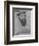 'Thomas, Lord Vaux', c1536 (1945)-Hans Holbein the Younger-Framed Giclee Print
