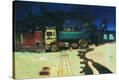 Stretched Canvas Print
