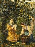 Gathering Apples-Thomas Matthews Rooke-Giclee Print