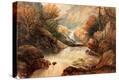 Stretched Canvas Print