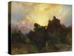 Stretched Canvas Print
