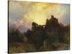 Stretched Canvas Print