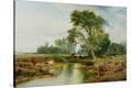 Stretched Canvas Print