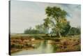 Stretched Canvas Print