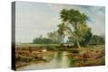 Stretched Canvas Print