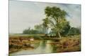Premium Giclee Print