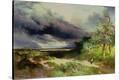 Stretched Canvas Print