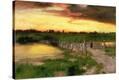 Stretched Canvas Print