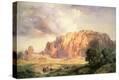 Stretched Canvas Print
