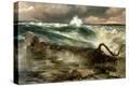 Stretched Canvas Print
