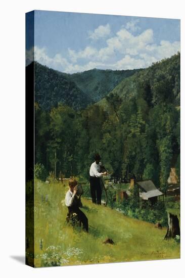 Stretched Canvas Print, , large