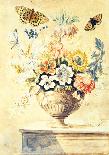 Pd.912-1973 Still Life of Flowers Including a Parrot Tulip, Larkspur, Sweet William, Gentian and…-Thomas Robins-Mounted Giclee Print