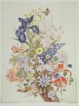 Pd.912-1973 Still Life of Flowers Including a Parrot Tulip, Larkspur, Sweet William, Gentian and…-Thomas Robins-Framed Giclee Print