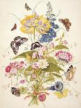 Mixed Flowers in a Cornucopia, C.1768-Thomas Robins-Giclee Print