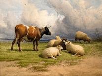 Landscape with Cows and Sheep, 1850-Thomas Sidney Cooper-Framed Giclee Print