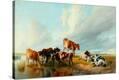 Stretched Canvas Print