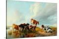 Stretched Canvas Print