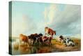 Stretched Canvas Print