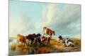 Giclee Print