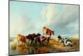 Giclee Print