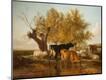 Premium Giclee Print