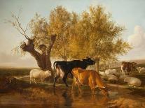 Landscape with Cows and Sheep, 1850-Thomas Sidney Cooper-Giclee Print
