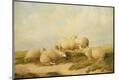 Premium Giclee Print