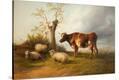 Stretched Canvas Print