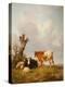 Stretched Canvas Print