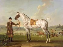 Scipio, Colonel Roche's Spotted Hunter, c.1750-Thomas Spencer-Premier Image Canvas