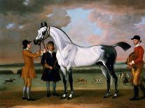 The Duke of Bolton's 'starling' with a Jockey and Groom at Newmarket, 1734-Thomas Spencer-Framed Giclee Print