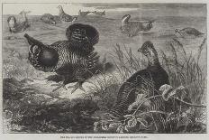 New Arrivals at the Zoological Society's Gardens-Thomas W. Wood-Giclee Print