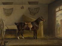 Horse with Side Saddle-Thomas Weaver-Giclee Print