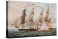 Stretched Canvas Print