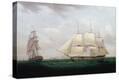 Stretched Canvas Print