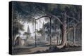 Stretched Canvas Print