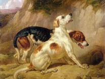 Fox Hounds, Fox Gone To Earth, 1844-Thomas Woodward-Giclee Print