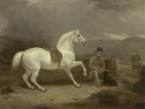 Mr. Johnstone King's Grey Shooting Pony Waiting with a Groom on a Scottish Moor, 1835-Thomas Woodward-Framed Premier Image Canvas