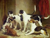 Fox Hounds, Fox Gone To Earth, 1844-Thomas Woodward-Mounted Giclee Print