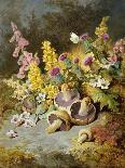 Still Life of Floxgloves, Mushrooms, Snapdragons, and Thistles-Thomas Worsey-Mounted Giclee Print