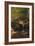 Thompson Cascade, White Mountains-Albert Bierstadt-Framed Giclee Print