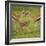 Thompson's Gazelle with Young-Joe McDonald-Framed Photographic Print