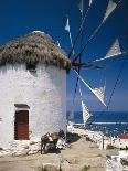 Greece, Mykonos, Mykonos City, Windmill, Donkey-Thonig-Photographic Print