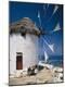 Photographic Print