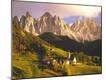 Photographic Print